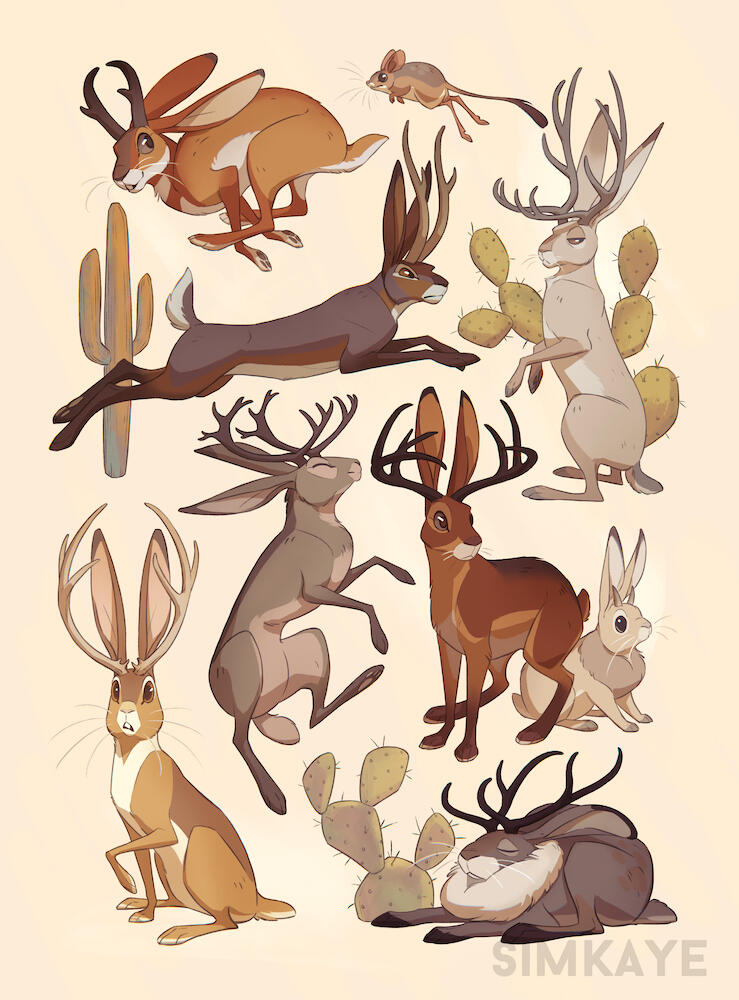Jackalopes